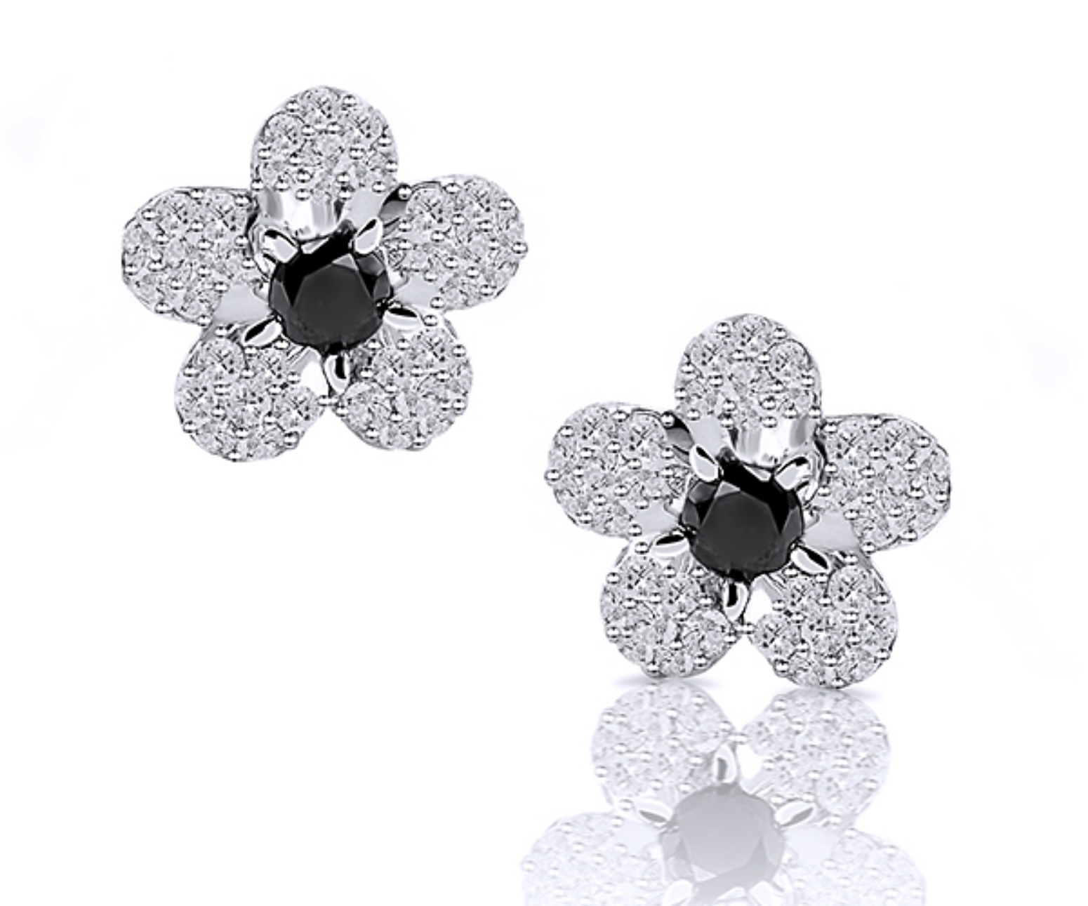 Picture of Earrings AC165C
