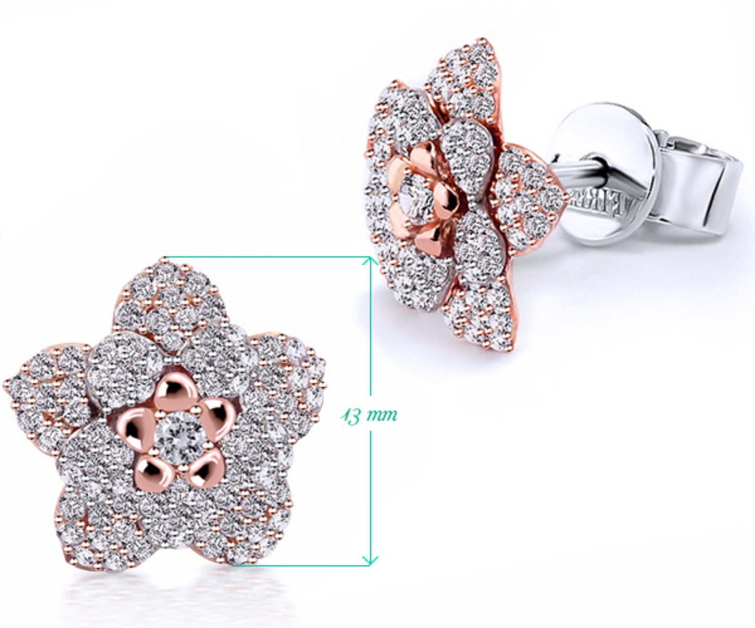 Picture of Earrings AC165