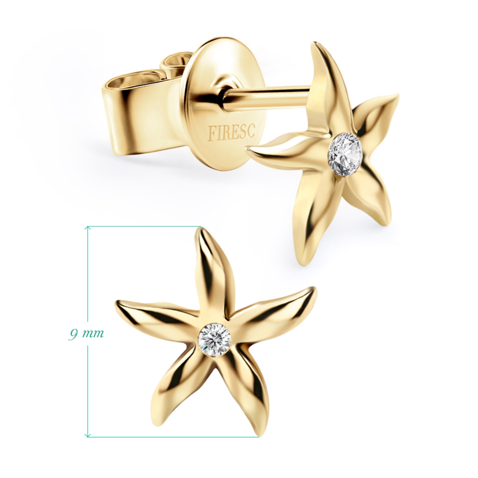 Picture of Earrings F187