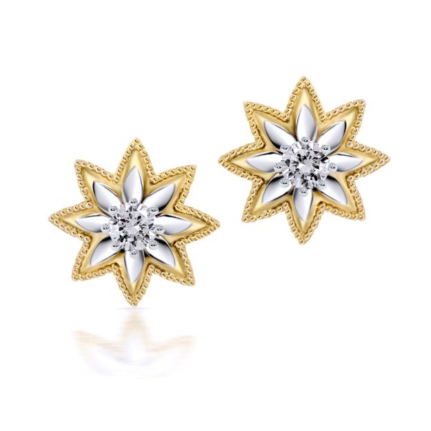 Cercei AC252, 14K Galben 1