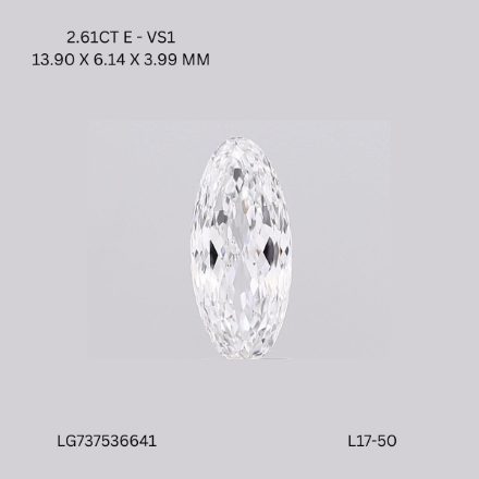 Lab Grown Diamond Lab-grown 2,61Ct E-VS1 Oval - IGILG737536641 1